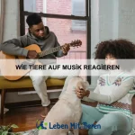 Warum Tiere sich im Kreis drehen