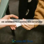Wie Tiere nach Sicherheit suchen