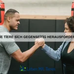 Die geheimen Fähigkeiten der Oktopusse