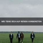 Wie Tiere lernen, geduldig zu sein