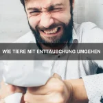 Wie Tiere ein Zuhause schaffen