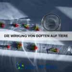Wie Tiere in Teams arbeiten