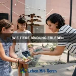 Wie Tiere auf menschliche Emotionen reagieren