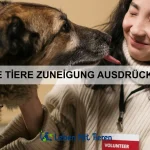 Wie Tiere auf menschliche Emotionen reagieren