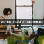 Wie Tiere Unterschiede erkennen
