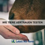 Wie Tiere sich mit fremden Arten verständigen