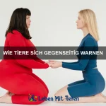 Wie Tiere Farben sehen