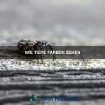 Wie Tiere sich gegenseitig warnen