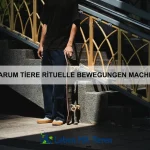 Wie Tiere durch Erfahrung lernen