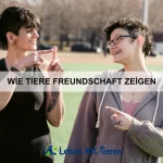 Wie Tiere emotionale Intelligenz zeigen