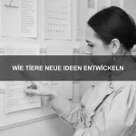 Wie Tiere Freundschaft zeigen