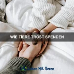 Wie Tiere sich aufeinander einstellen