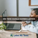 Warum Tiere manchmal “tanzen”