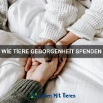 Wie Tiere Empathie zeigen