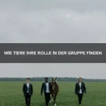 Wie Tiere anderen Tieren helfen