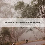 Was Tiere im Schlaf träumen