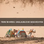 Wie Tiere zu einem Team werden