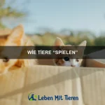Wie Tiere Erinnerungen weitergeben