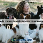 Was Tiere von Menschen lernen können