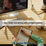 Wie Tiere gemeinsam entspannen