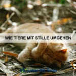 Wie Tiere sich selbst beruhigen