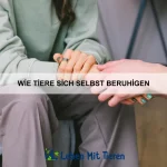 Wie Tiere mit Stille umgehen