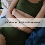 Wie Tiere sich langweilen
