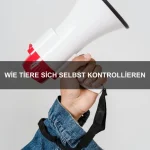 Warum Tiere träumen