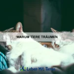 Wie Tiere sich selbst kontrollieren