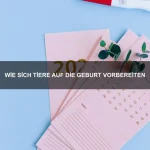 Wie Tiere Gleichgewicht finden