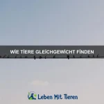 Wie Tiere Farben zur Tarnung nutzen