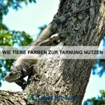 Wie Tiere Gleichgewicht finden