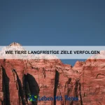 Wie Tiere Farben zur Tarnung nutzen
