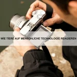 Wie Tiere langfristige Ziele verfolgen