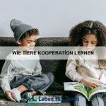 Wie Tiere Schutz bieten