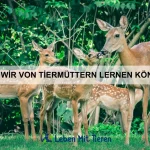 Warum Tiere bestimmte Geräusche meiden