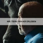 Warum manche Tiere extrem alt werden