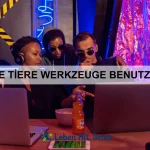Wie Tiere Trauer erleben