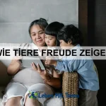 Wie Tiere Beziehungen pflegen