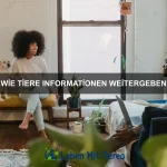 Wie Tiere Wissen speichern