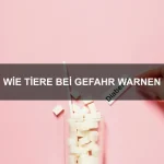 Wie Tiere uns erkennen