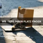Wie Tiere uns erkennen