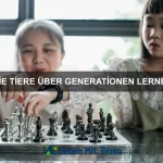 Wie Tiere ihren Platz finden