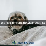 Wie Tiere uns als Familie sehen