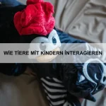 Wie Tiere Gefühle zeigen