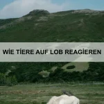Warum manche Tiere “weinen”