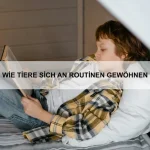 Wie Tiere auf Belohnungssysteme reagieren
