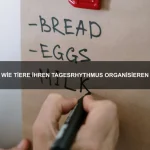Wie sich Tiere vor Lawinen schützen