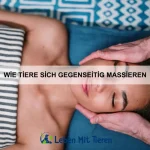 Wie Tiere ihren Tagesrhythmus organisieren