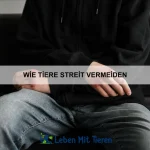 Wie Tiere mit Unsichtbarem umgehen